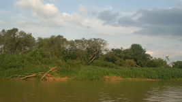 Paysage, Amazonie